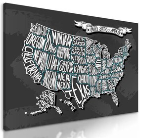 Obraz abstraktná mapa USA