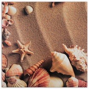 Obraz na plátně Mušle Mořský písek - 30x30 cm