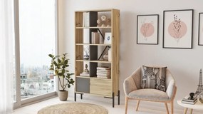 Knižnica Houseland Tara dub Wotan/antracitovo sivá