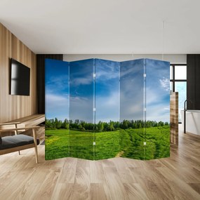 Paraván - Lúka (210x170 cm)