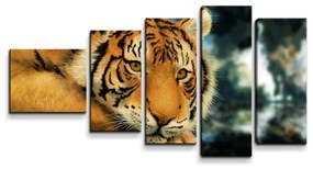 Sablio Obraz - 5-dílný Tiger - 100x60 cm