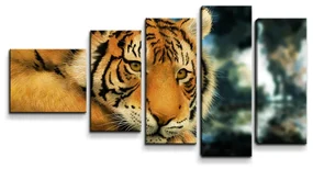 Sablio Obraz - 5-dílný Tiger - 100x60 cm
