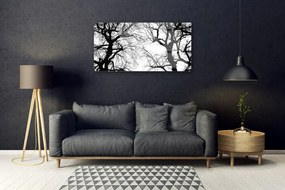 Skleneny obraz Stromy príroda čiernobiely 100x50 cm