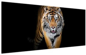 Obraz - Tiger (120x50 cm)