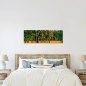 Obraz žirafy v prírode (s hodinami) (90x30 cm)