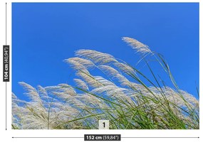 Fototapeta Vliesová Modrá tráva 312x219 cm