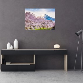 Sklenený obraz - Japonsko na jar (70x50 cm)