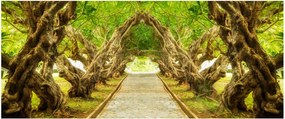 Obraz - Živý tunel z plumérií (120x50 cm)