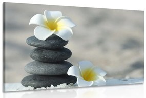 Obraz harmonické kamene a kvet pluméria - 120x80