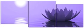 Obraz na plátne - Zen lotus - panoráma 5167VD (120x40 cm)