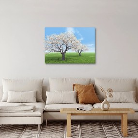 Obraz stromov (70x50 cm)