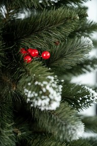 Limpol Borovica Iza s červenými bobuľami Slim Výška stromčeka: 180 cm