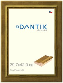 DANTIK rám na obraz 29,7x42 | Oro Fino zlatá (Plexi Čiré)