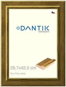 DANTIK rám na obraz 29,7x42 | Oro Fino zlatá (Plexi Čiré)