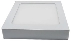 LED Stropné svietidlo LED/12W/230V 3000K