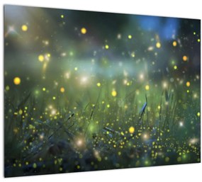 Sklenený obraz - Čarovná noc (70x50 cm)