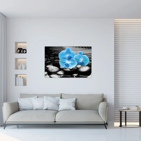 Obraz - Modrá orchidea (90x60 cm)