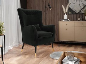 Čalúnené kreslo Arisean, Dostupné poťahy: Magic Velvet 2201