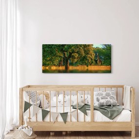 Obraz žirafy v prírode (120x50 cm)