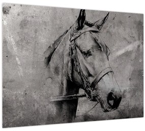 Obraz - Portrét koňa (70x50 cm)