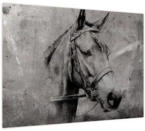 Obraz - Portrét koňa (70x50 cm)