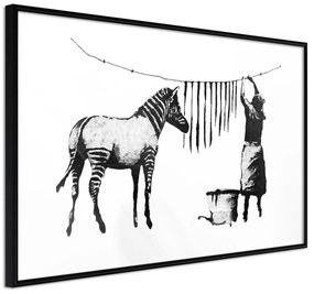 Artgeist Plagát - Banksy: Washing Zebra [Poster] Veľkosť: 45x30, Verzia: Čierny rám