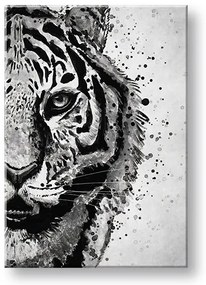 Obraz na plátne TIGER 001 | rôzne rozmery