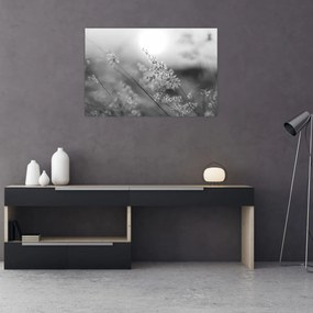 Obraz - Jesenná lúka (90x60 cm)