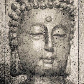 Ozdobný paraván Buddha Zen Spa - 110x170 cm, trojdielny, obojstranný paraván 360°