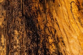 Konferenčný stolík - 91 x 51 cm - špaltovaný buk / epoxidová živica