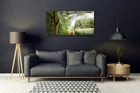 Skleneny obraz Stromy chodník príroda 140x70 cm