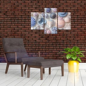 Obraz - Zbierka mušlí (90x60 cm)