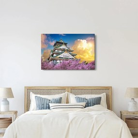 Obraz - Osacký hrad (90x60 cm)