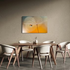 Obraz - Makro kvetu (90x60 cm)