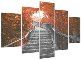 Obraz - Schody v prírode, oranžová (150x105 cm)