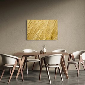 Obraz - Jačmeň (90x60 cm)