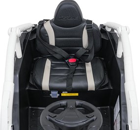 Ramiz Kawasaki TERYX KRX1000 Buggy Sivá