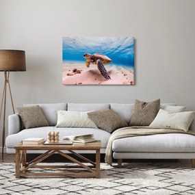 Obraz korytnačky v oceáne (90x60 cm)