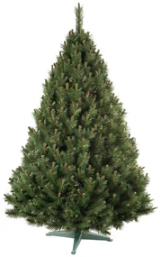 Nohel 91412 Vianočný stromček Borovica, 160 cm, 160 cm