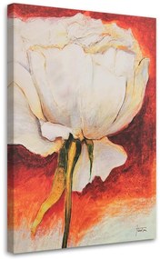 Obraz na plátně Květ pivoňky jako malovaný - 70x100 cm