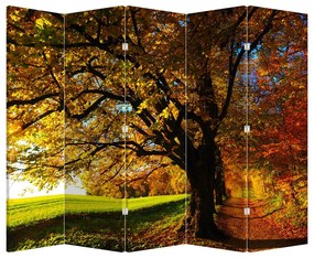 Paraván - Jesenný strom (210x170 cm)