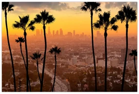 Obraz - Panorama Los Angeles (90x60 cm)
