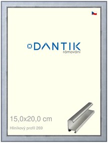 DANTIK rám na obraz 15x20 | ALU Sstříbrná broušená (Sklo Čiré)