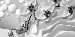 Obraz jemné znázornenie orchidei v čiernobielom prevedení