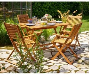 InternetovaZahrada - Drevená zostava Sydney 1+4