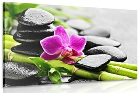 Obraz Spa zátišie s fialovou orchideou - 120x80