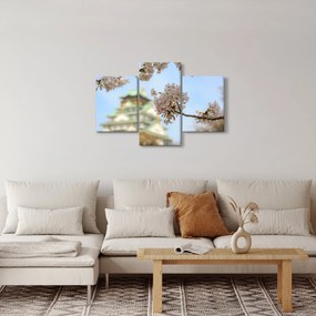 Obraz - Sakura (90x60 cm)