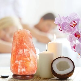 Soľná lampa SALLY 1xE14/25W/230V