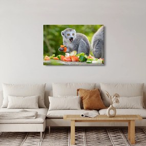 Obraz lemura (90x60 cm)