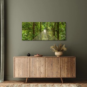 Obraz - Závesný most (120x50 cm)
